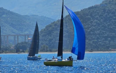 2009 Pogo 10.50 | 11m